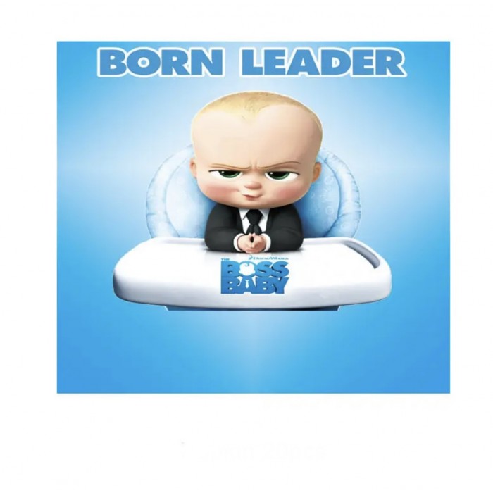 Servetėlės Baby Boss (20vnt) Servetėlės Baby Boss (20vnt)