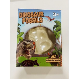 Dinozauro Fosilija (1vnt)