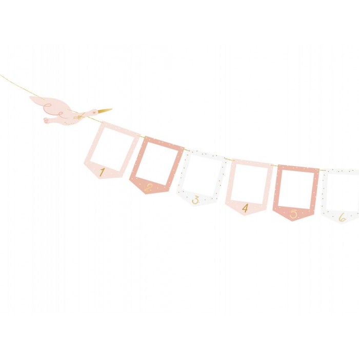Rožinė nuotraukų girlianda "12 mėnesių" (9*13cm) Rožinė nuotraukų girlianda "12 mėnesių" (9*13cm)